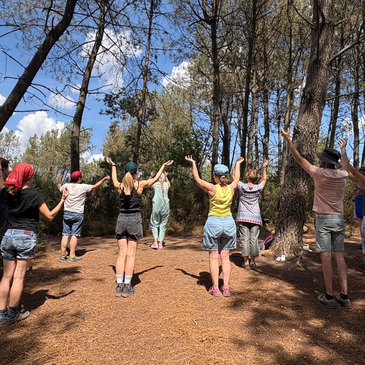 Stage Bien-être au Bois des Elfes