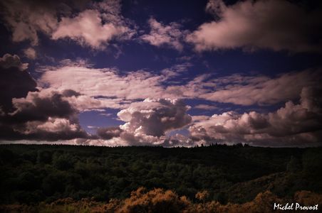 Heures sombres de la forêt